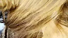 Hot babe's sloppy deepthroat massage on thick cock in 4k close-up