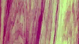 Curvy Model Miss Booty Tries First Erotic Sexdate With German User In Hotel