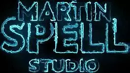 hermione take my spare wand now