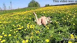 casual stranger blowjob ends with hot CUM IN MOUTH