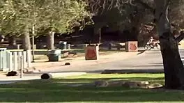 lesbian teens finger lick gaping pussies in lingerie and heels