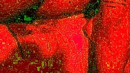 hot tattooed latina milf submits to rough interracial pounding in redroom