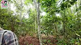 lost horny thai teen wanders forest and fucks wildly outdoors