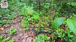 thai teen mushroom hunt turns into outdoor pussy pounding creampie adventure