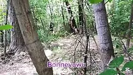 Petite Latina Elf Bunny Masturbates in Panties