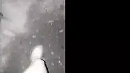 Petite Latina Elf Bunny Masturbates in Panties