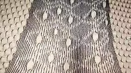 Neighbor's hubby creampies my lingerie-clad curvy pussy