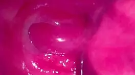 check this shaved pink pussy 215 days post virginity loss