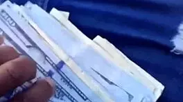 desperate cash turns her tight pussy dripping wet for cash pounding