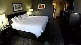 sucking that massive cock on hidden spy cam