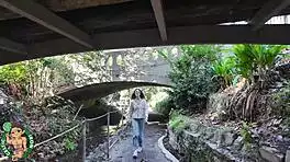 aubry babcock delivers sloppy girlfriend blowjob at hollywood sign