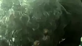 Hey babe, wanna feel my hands groping your big ass gently?