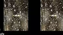 antonia sainz teases with pee solo dildo vibrator on czech sofa