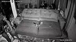 muscular bodybuilder pounds brazilian latina in hotel