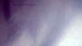 i love waking up to this... watch her moan full video