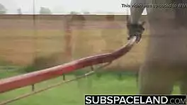 bound babe slapped hard in wet towel submission ritual