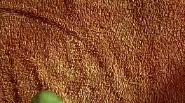 Hey, watch this huge cock explode with cum while jerking off in the bedroom!