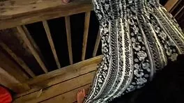 Babe grinds horny petite ass teasing in public