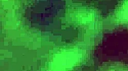 wanna see this hairy petite japanese babe in uniform rub her wet pussy?