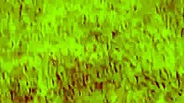 that trashy 18+ blonde teen slurps on huge shaved monster cock like a pro