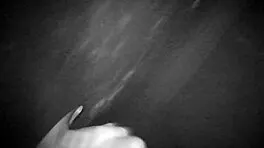 Raw Brazilian Housewife Gloryhole Swallows at Swingers Party Cuckold Fun