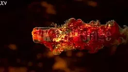 Bella Grey Drinks Piss in Hard DP Anal Fuck and Uncensored Backstage Action