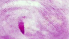 petite natural babe poses before blonde reveals curves