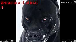 Cowok Tato Bangsat Ngewe Dua Cewek Muda Seksi Sambil Suami Ngerekam Semua