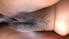 Indijska pomajka kreampirana