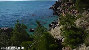 Having wild sex with her in the forest 😍🌳