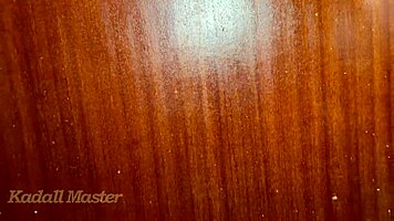 Student calls professor for blowjob and doggystyle in dorm, takes creampie for grade