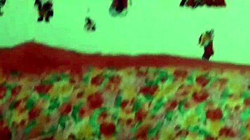 Teen Nymph Invades House For Christmas Gift