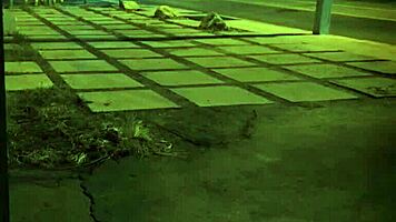 Exploring BDSM Bondage and Domination in a First-Time Gangbang Scenario