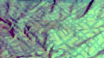 Hermano fucks flaquito puta without condom