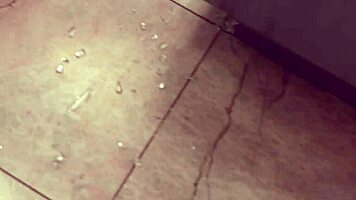 dakota skylar's pov revenge blowjob