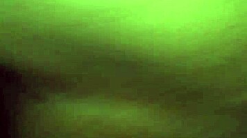 novi�a caliente
