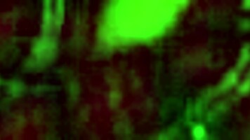 ntr asian babe with big tits cums hard