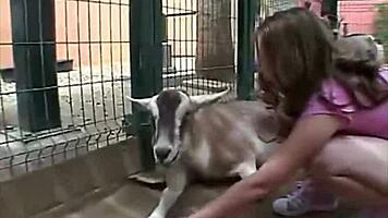 Horny Little April Rubs Tits and Fingers to Orgasm