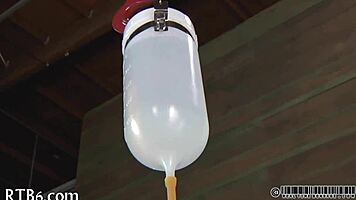 Four Beauties Confined in Petite Cage