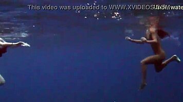 Sea Adventures On Tenerife Underwater