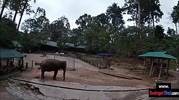 hey, that elephant ride led to wild teen sex 😏