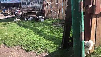 Enjoying Outdoor Activities With Friends And Family