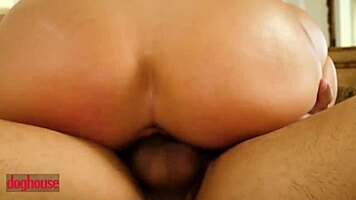 Slutty brunette teen 18+ whitney wright gets railed by jon rogues big dick - dog house