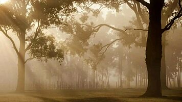 i took my teen girlfriend to the farmhouse for big cock fun. she squirted everywhere 😏