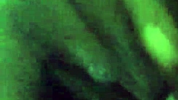 Young Ebony Girl Experiences Intense Squirting Pleasure Alone