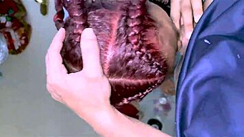 Cum In My Mouth Big Ass Nympho Screams During Blowbang!