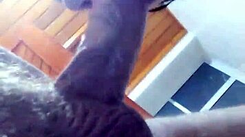 Japanese Teen Blowjob And Handjob During Church Visit Sucking Pastor Cock