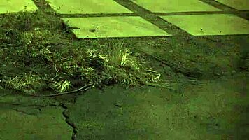 old man dominates teen with beard and bondage