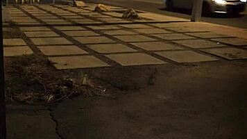 Can you handle this rough anal with the redhead?