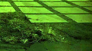 Can you handle this rough anal with the redhead?